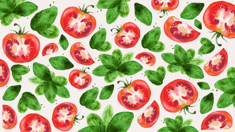 Tonis_WEB_Collage_Tomate_TeaserTopic_2976x1674px